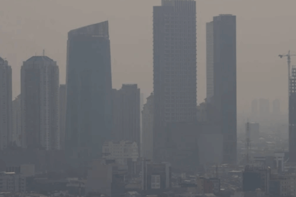 Bahaya Polusi Udara bagi Kesehatan Keluarga