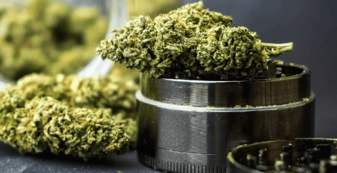 Ciri Pengguna Ganja Ekstasi UGM