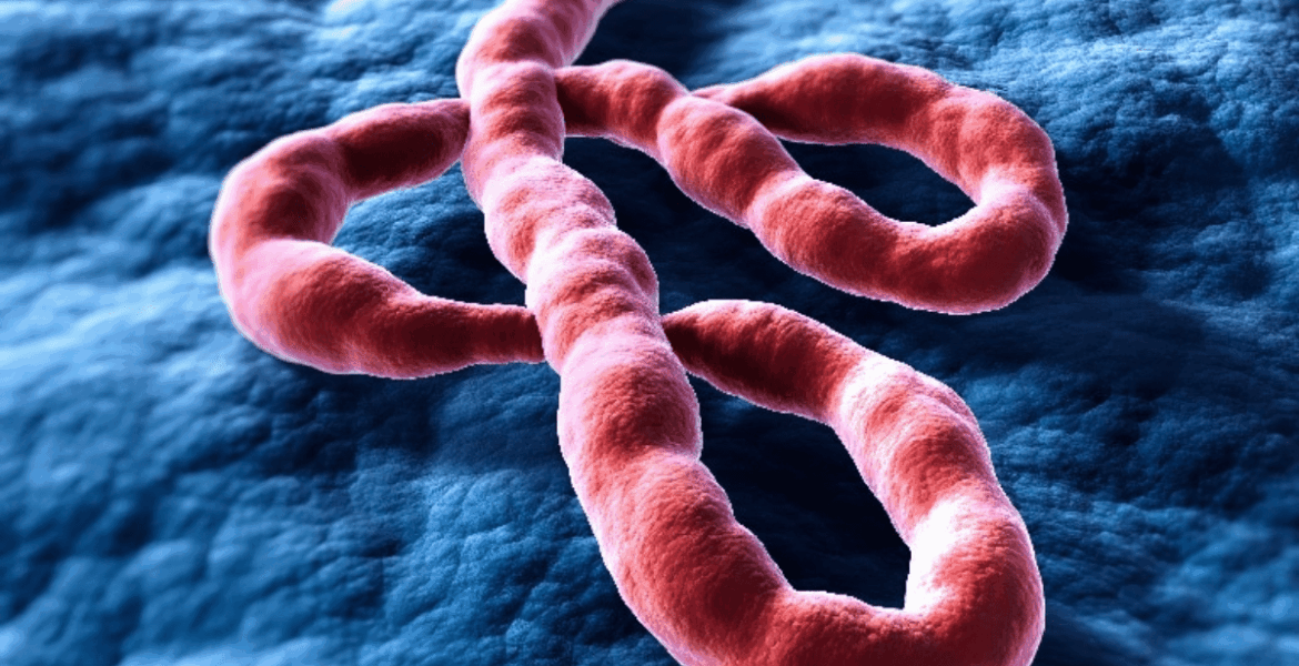 Ebola