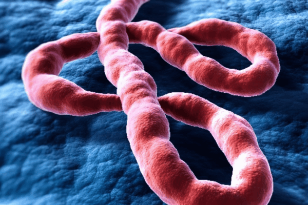 Ebola