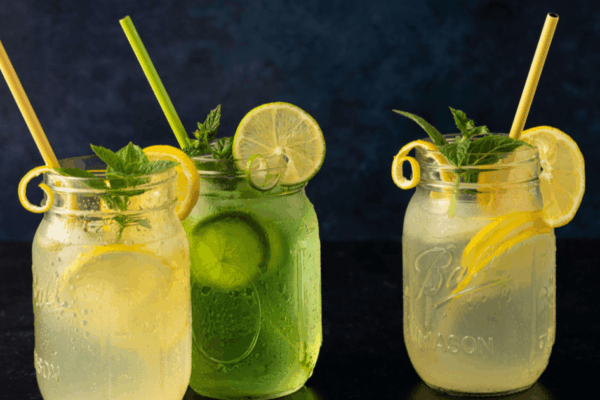 Segarnya Infus Water